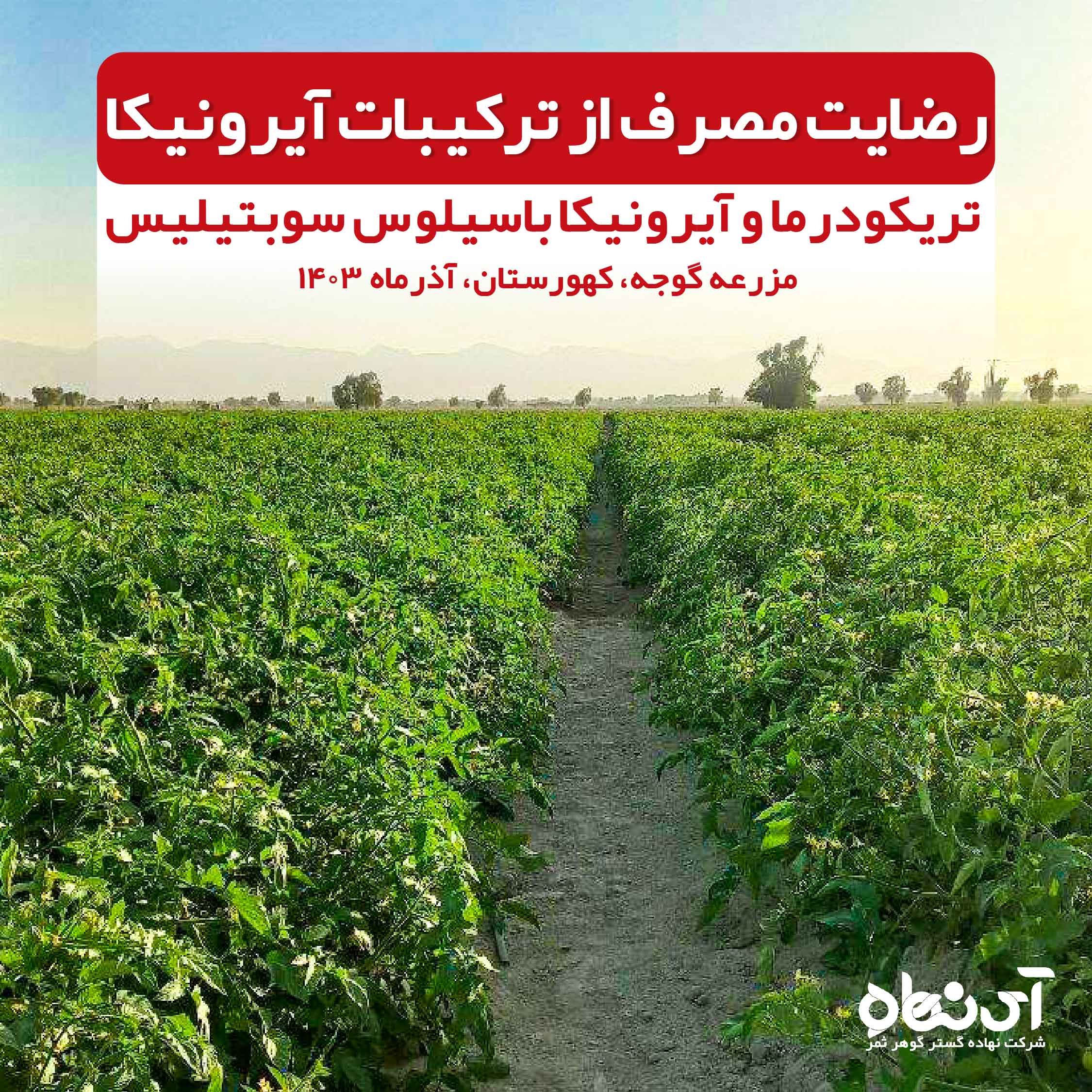 رضایت مصرف از ترکیبات آیرونیکا تریکودرما و باسیلوس سوبتیلیس